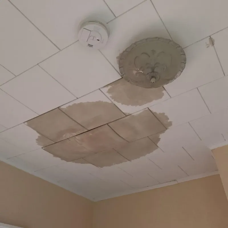 Ceiling Water Damage Repair in Level Green, PA