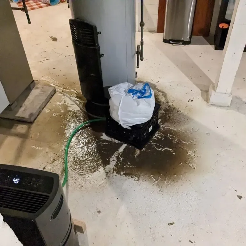 Sewage Backup Cleanup Service in Level Green, PA